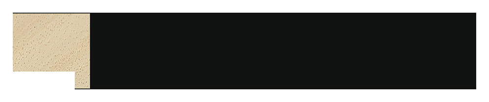 Moldura 1099/234 VANGUARDIA Negro Molgra - Vista frontal del producto